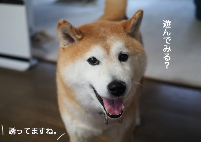 28日夜ブログ２
