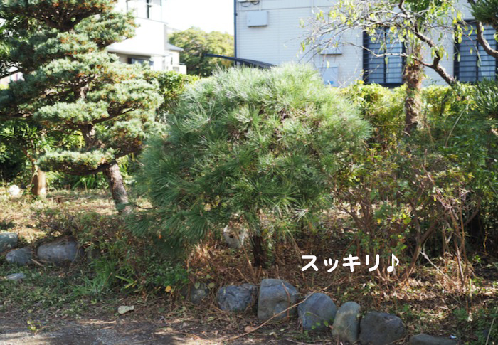 24日ブログ８