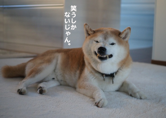 12日夕ブログ６