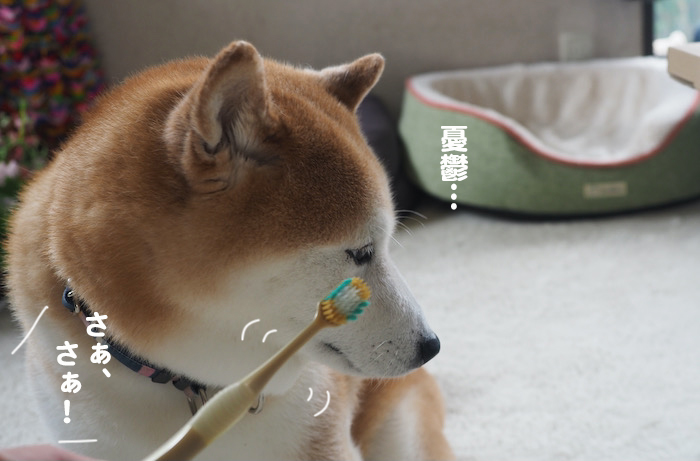 23日夕ブログ７
