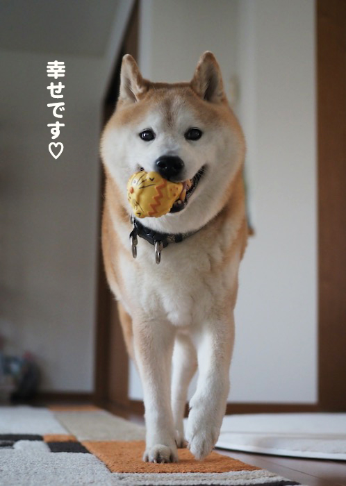 11日ブログ５