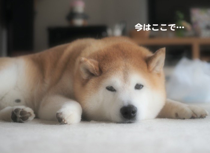 23日ブログ２