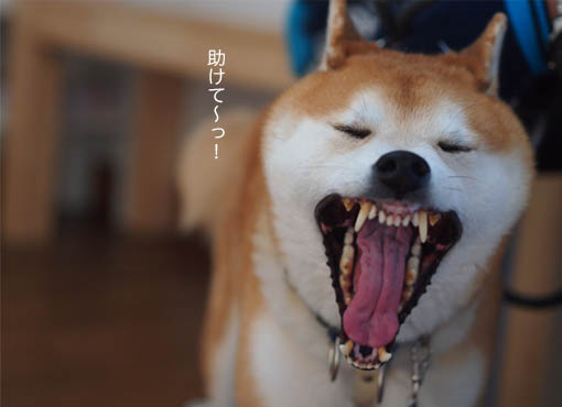 28日ブログ3.jpg