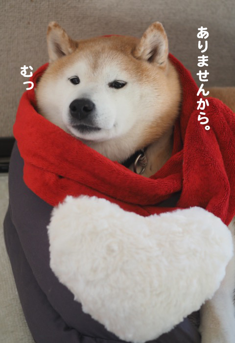 14日ブログ４