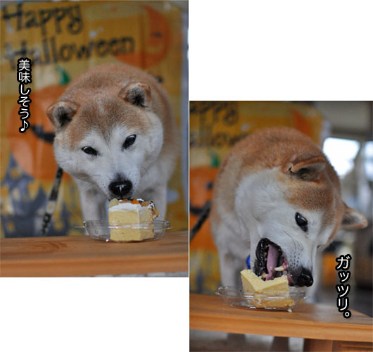 23日ブログ15.jpg