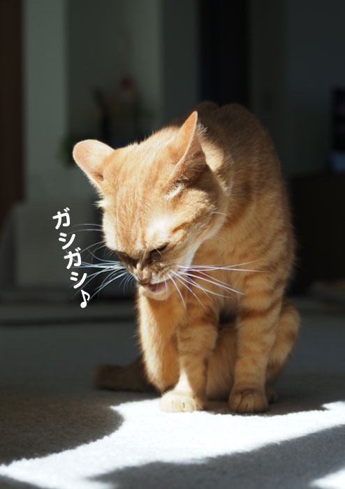 1日夕ブログ３