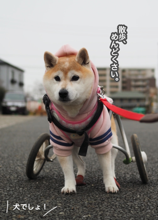 6日ブログ５