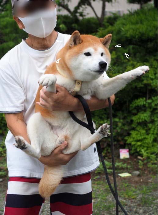 23日ブログ３
