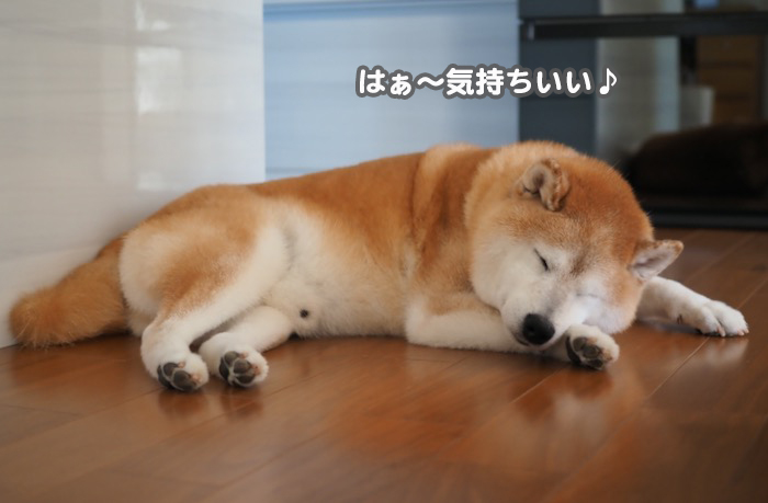 19日ブログ１