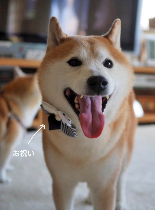 6日ブログ６