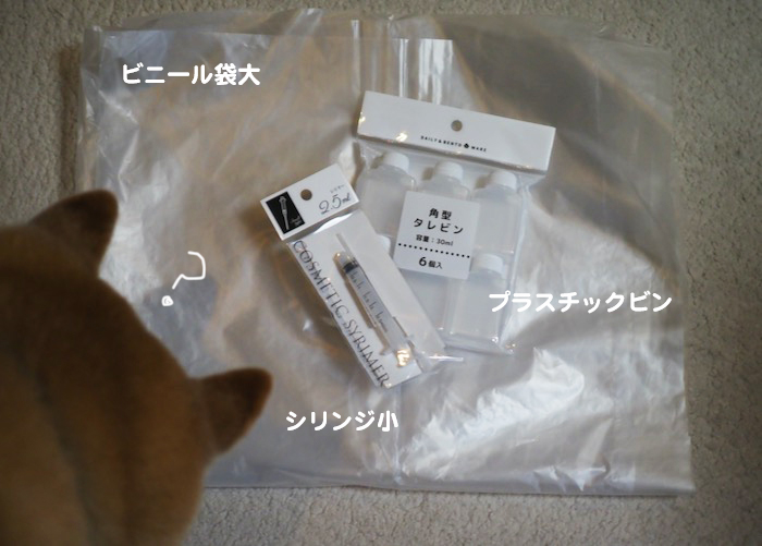 9日夕ブログ３