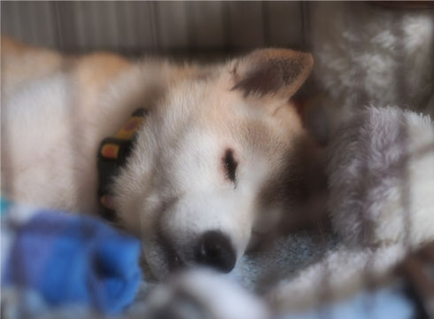 27日ブログ5.jpg