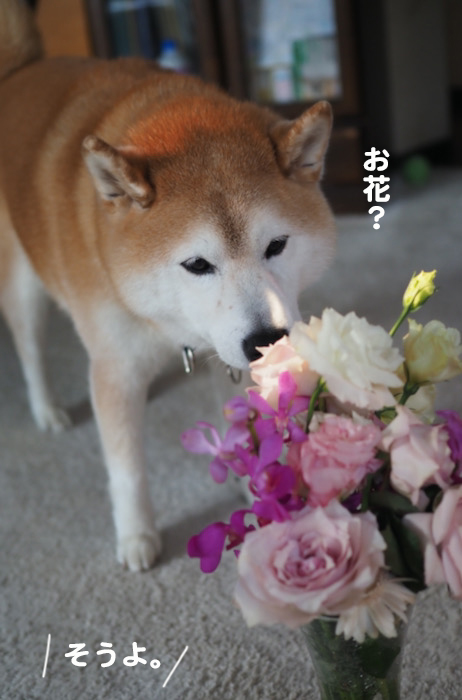 12日夕ブログ３