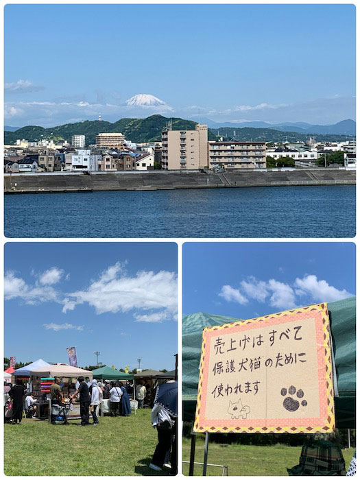 10日夕ブログ２