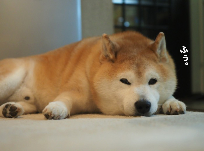 2日夕ブログ３