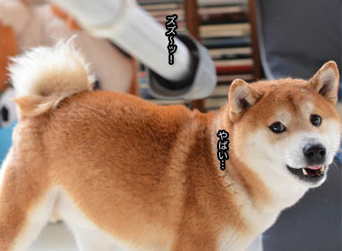 30日ブログ8.jpg
