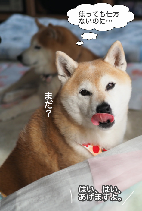 4日夜ブログ４