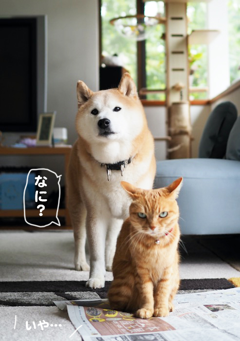 3日ブログ６