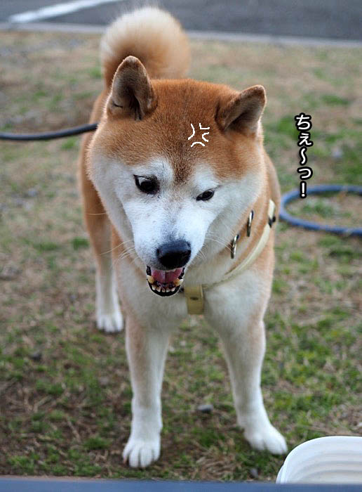 10日夜ブログ７