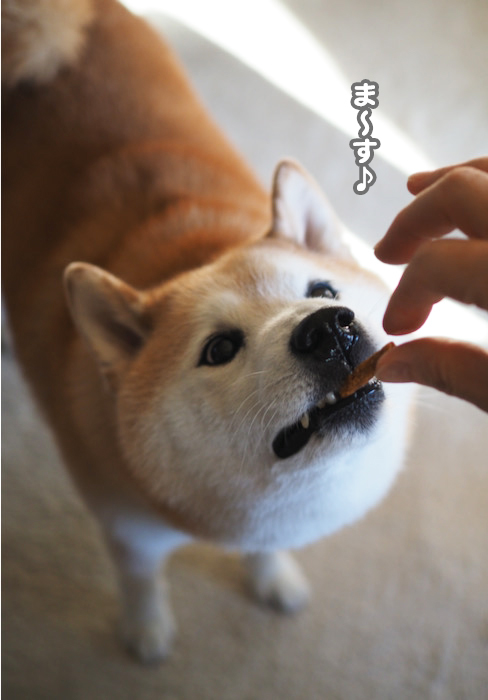 8日夜ブログ４