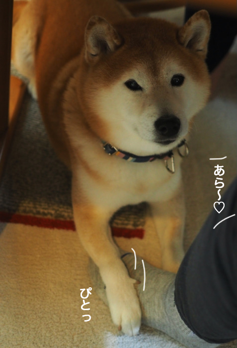 29日夜ブログ２