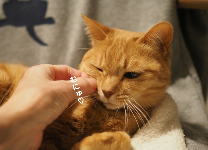 11日夕ブログ５