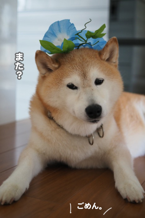 18日午前ブログ３