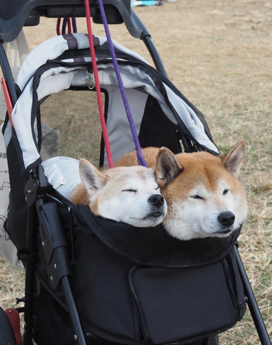 13日ブログ１１