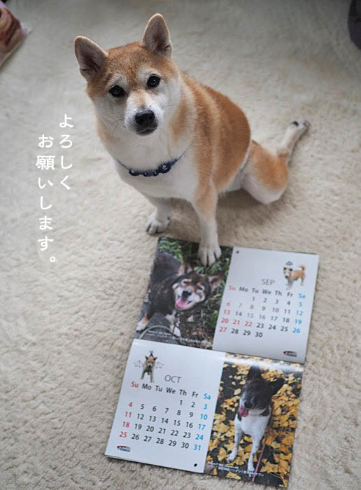 22日午前ブログ6