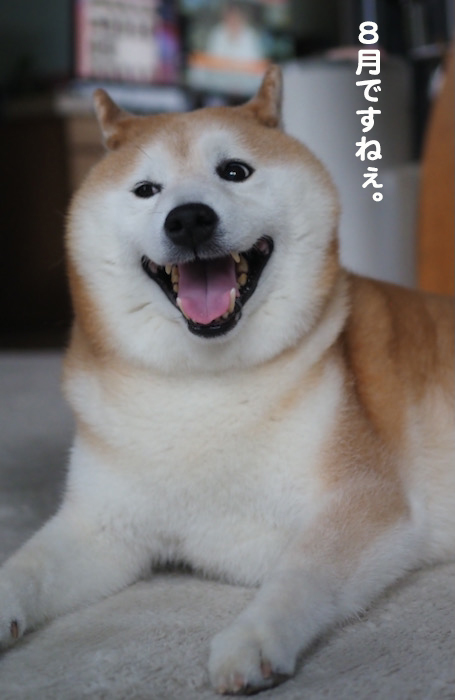 31日ブログ２