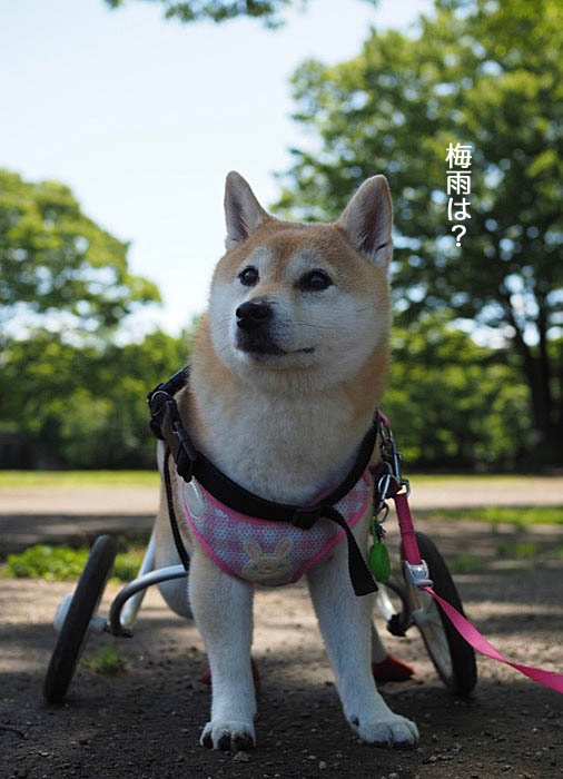 21日夜ブログ５