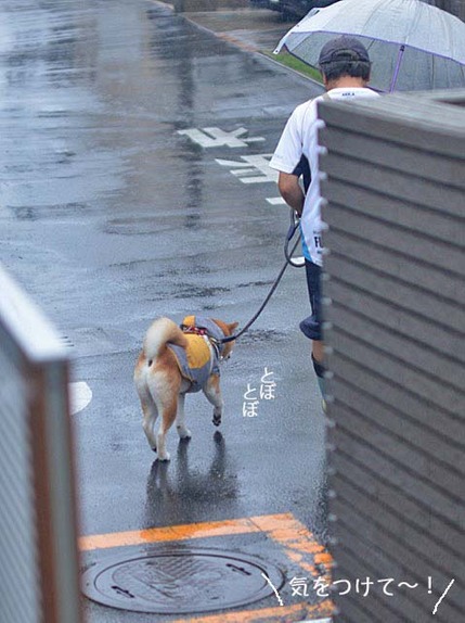 28日ブログ9