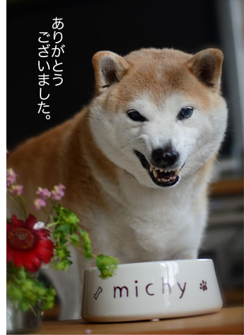 2日ブログ2.jpg