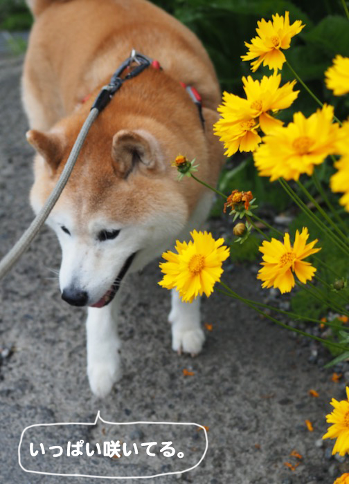22日夕ブログ２