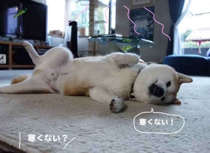 5日夕ブログ２