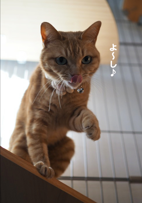 4日夕ブログ４