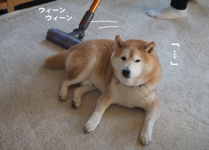 2日夕ブログ４