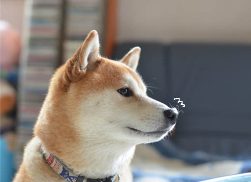 24日ブログ8.jpg