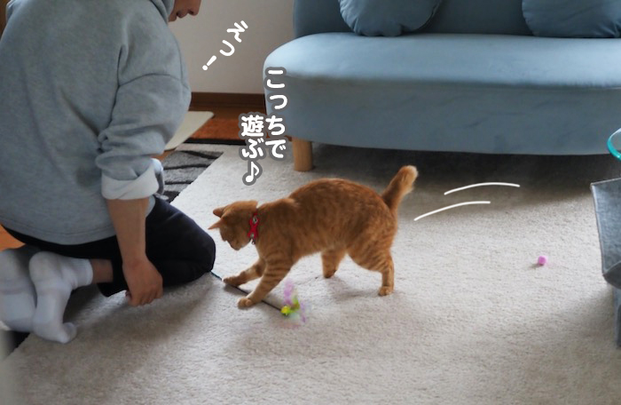 9日夕ブログ７