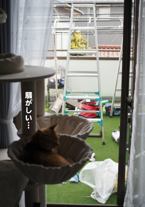 11日夕ブログ７