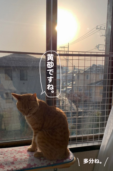 27日夕ブログ3