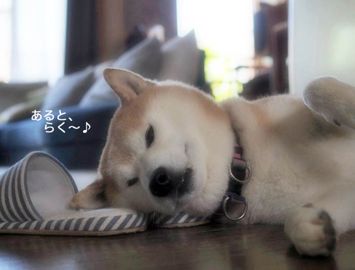 15日夕ブログ2