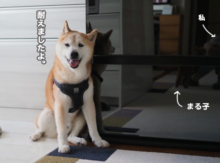 26日夕ブログ6