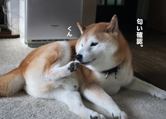 26日ブログ４