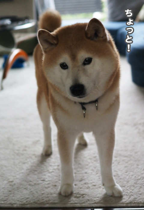 14日ブログ２