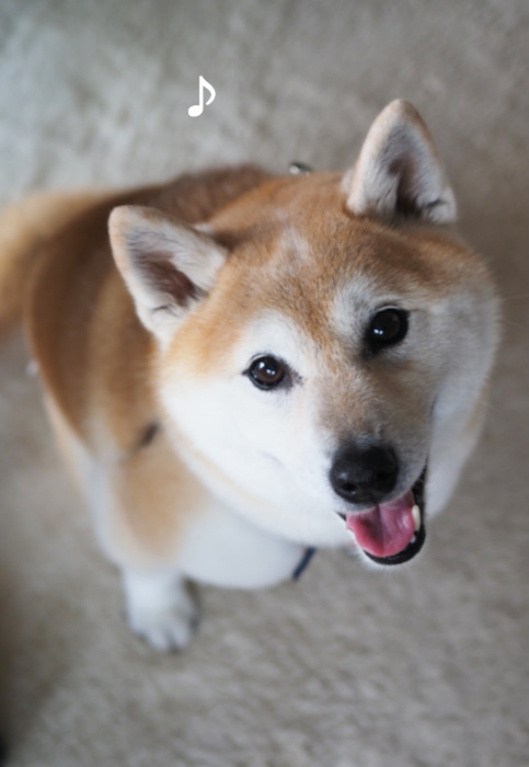 10日ブログ３