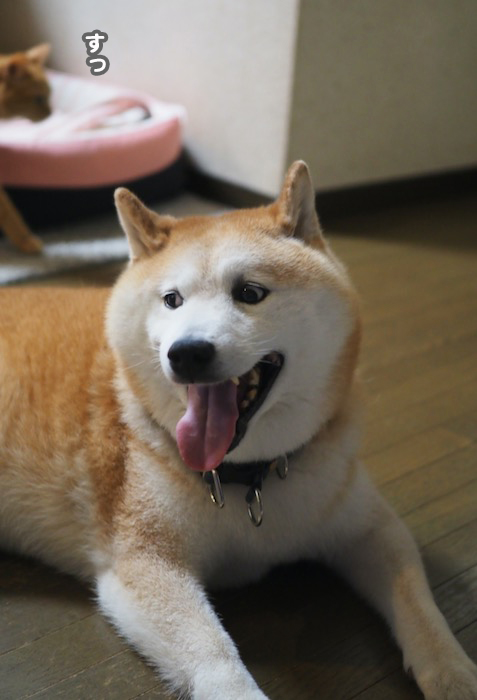 19日ブログ３