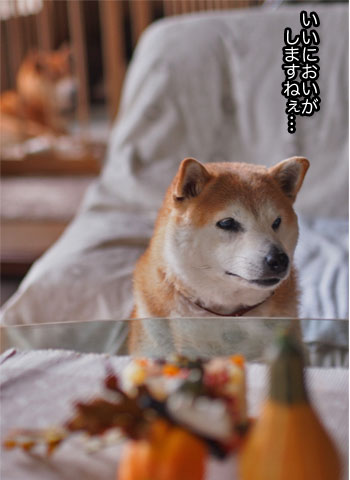 23日ブログ13.jpg