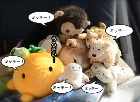 18日ブログ9.jpg