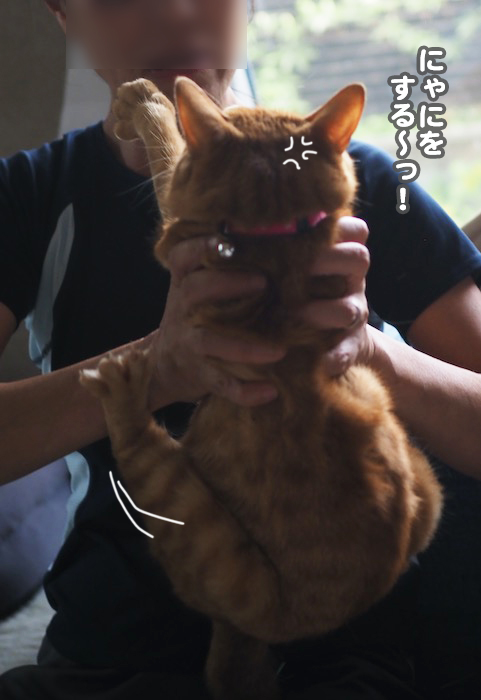 18日夕ブログ15